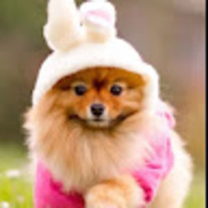 Meet your Posher, Cleo